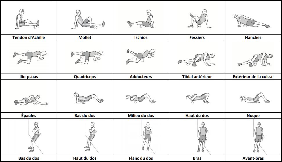 Rouleau de massage Exercices pour la récupération en sport