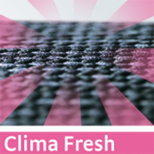 logo clima fresh technologie