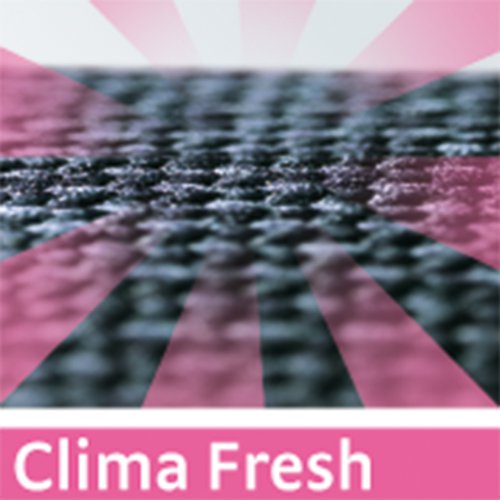 logo clima fresh technologie 