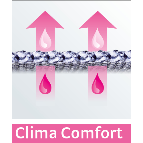 logo clima confort technologie 