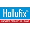 Logo HALLUFIX