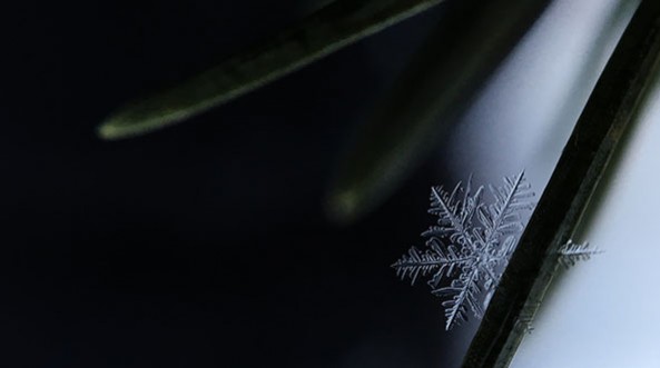 Quels sont les effets de la Cryothérapie ?
