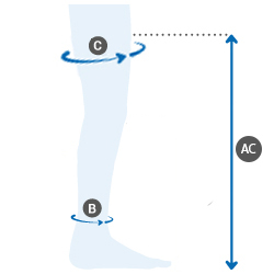 image guide des tailles