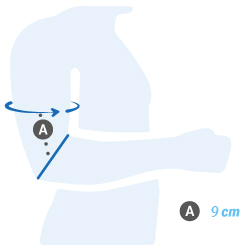 image guide des tailles