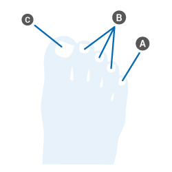 image guide des tailles