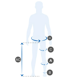 image guide des tailles