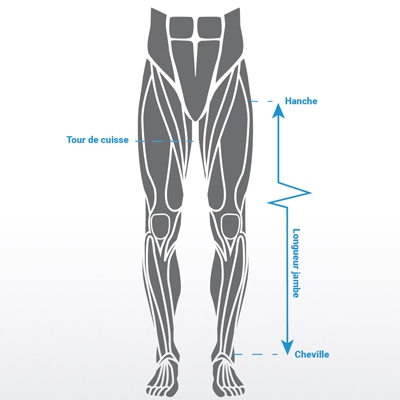 image guide des tailles